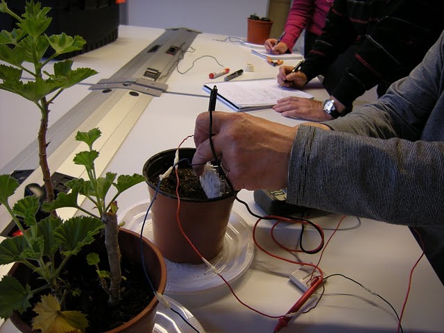 Sesión del día 14 de Abril  del 2011 - Imagen 3