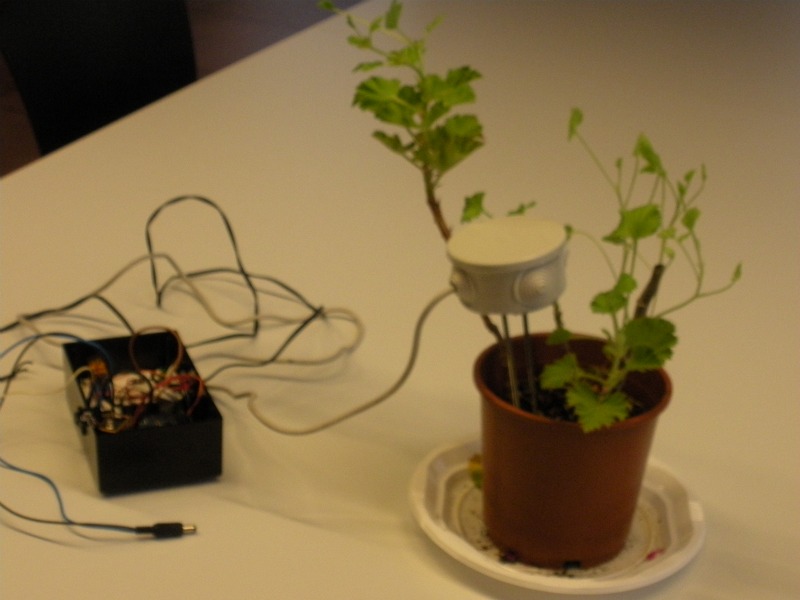 Sesión del 9 de junio - Imagen 3