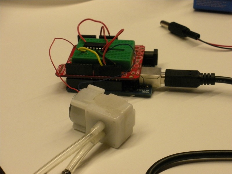 29 de septiembre - Imagen 2