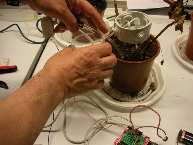 6 de octubre - Imagen 2